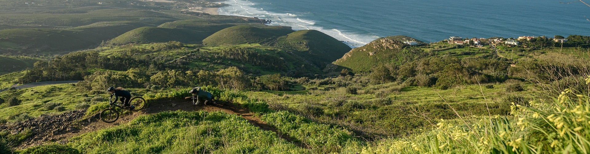 cube mountain bikes being ridden down mountain trails